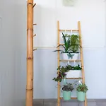 Bambus House Apartamento