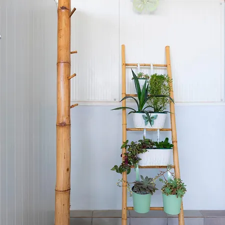 Bambus House Апартаменты